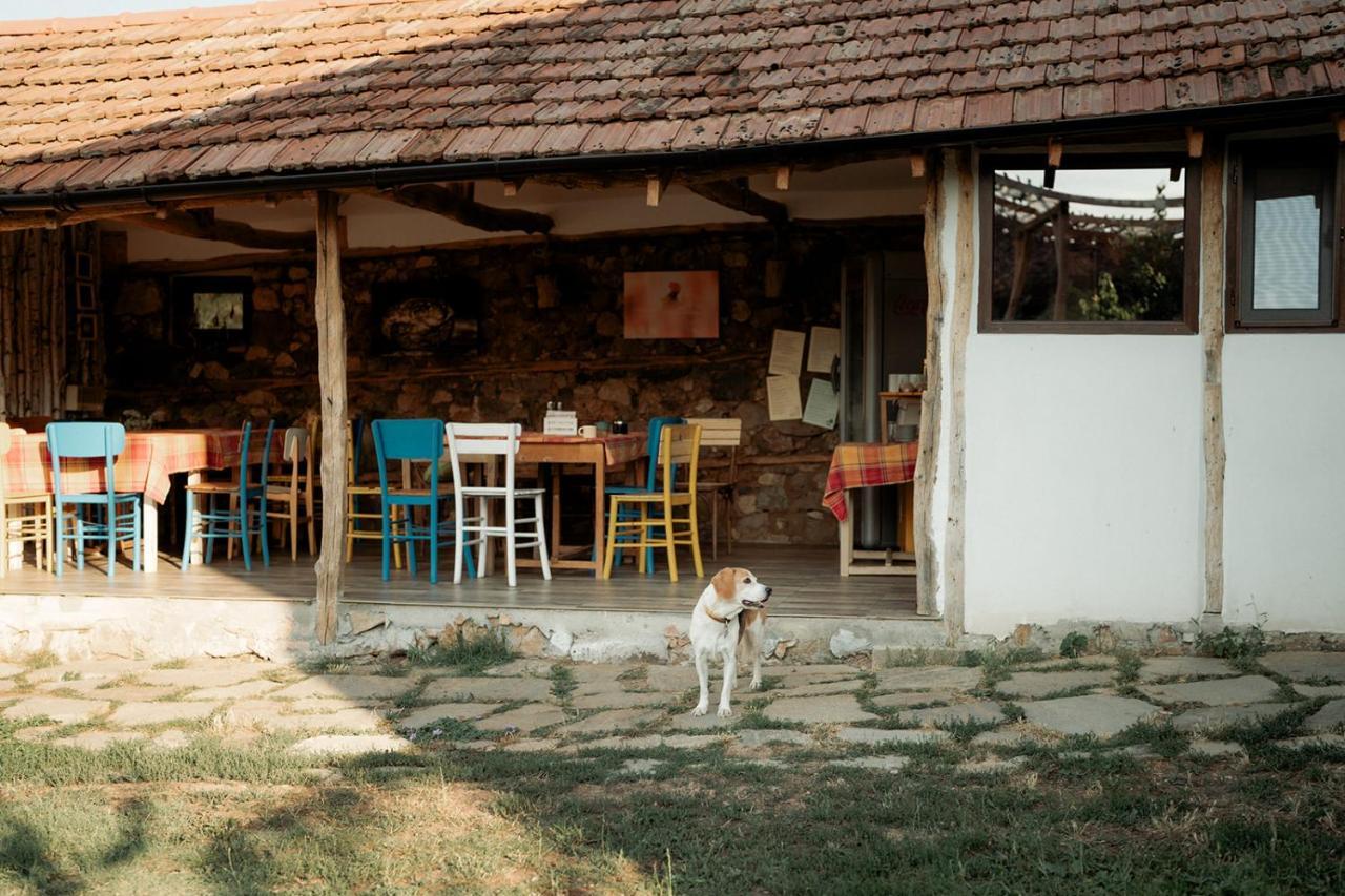 The Old Nest Ξενοδοχείο Madzharovo Εξωτερικό φωτογραφία